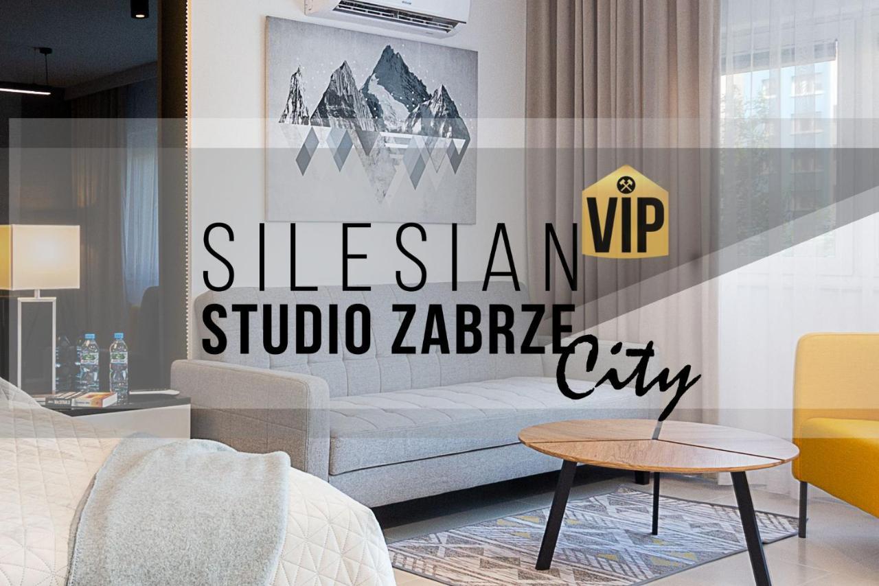 Studio Silesian Vip City Centrum Free Parking Zabrze Esterno foto